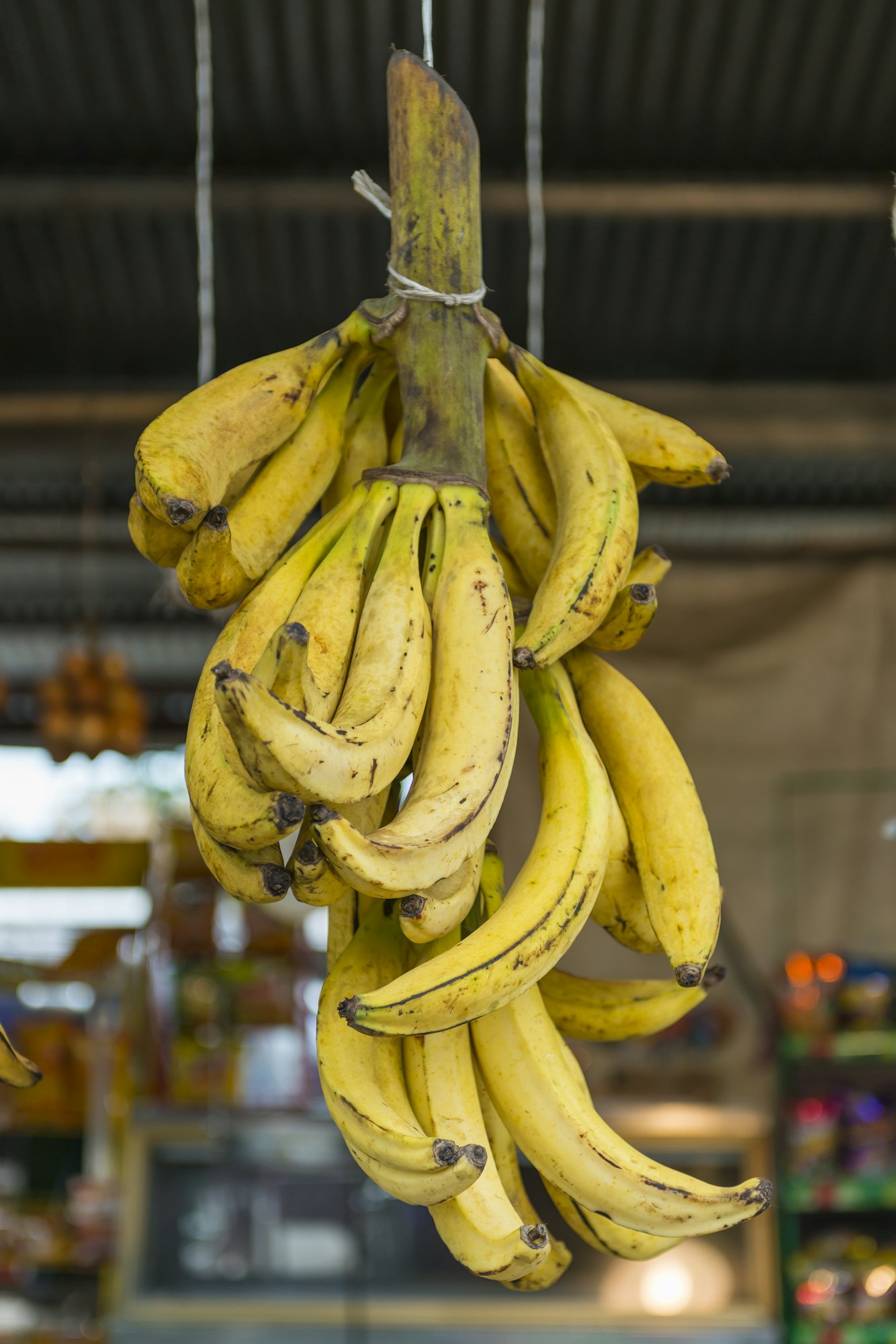 a bunch of ripe bananas hanging from a string over a market